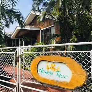 https://villa-acacias-tree.sanandreshotels.com